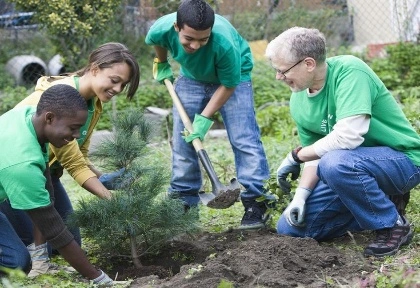 Urban Gardening Initiative