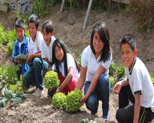 Seeds of Hope