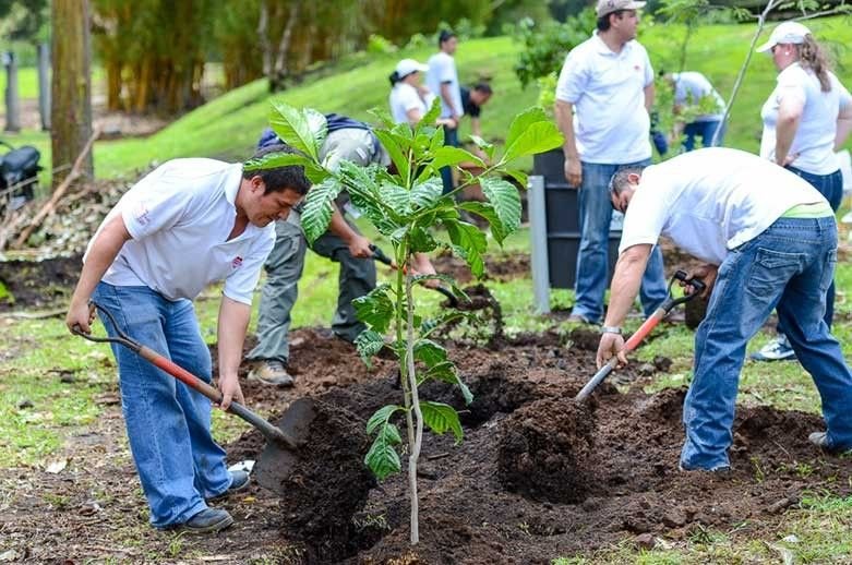 Tree Plantation Drive Celebrates World Environment Day